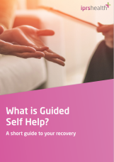 What is guided self help v2
